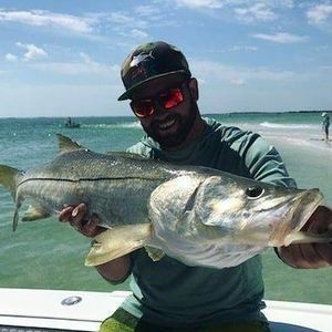 Meet your Posher, Tony